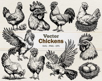 Vector kip haan kip clipart - zeer fijne tekeningen digitale afbeelding - hanen SVG PNG - commercieel gebruik