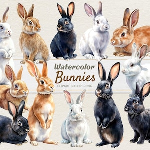 Clipart lapins aquarelle - illustration numérique lapin - lapin PNG - usage Commercial