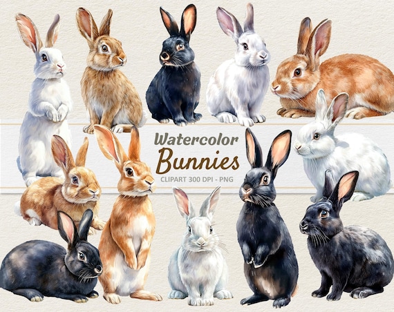 Watercolor Bunnies Clipart - Digital Illustration Bunny - Rabbit PNG - Commercial Use
