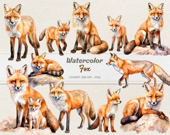 Aquarel vossen clipart - digitale afbeelding - baby Fox PNG - commercieel gebruik