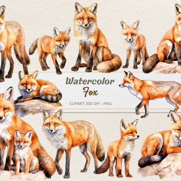 Watercolor Foxes Clipart - Digital Illustration - Baby Fox PNG - Commercial Use