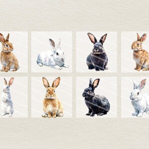 Op de afbeelding: Een set van tien aquarel illustraties van konijnen in verschillende poses. De konijnen zijn afgebeeld in verschillende kleuren, waaronder wit, bruin, zwart en grijs. De illustraties zijn perfect voor gebruik in scrapbooking, kaart maken of andere knutselprojecten.