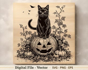 Halloween kat vectorillustratie SVG – zwarte kat pompoen zeer fijne tekeningen png – lasergravure clipart – digitale download