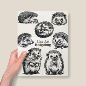 May include: A print featuring detailed line art illustrations of hedgehogs in various poses. The artwork is in black and white, with the text "Line Art Hedgehog" displayed on the print. The print is held by a person.