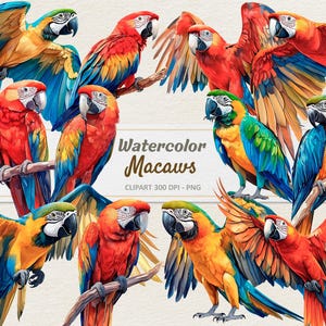 May include: Watercolor illustrations of colorful macaws with vibrant blue, red, yellow, and green feathers. The macaws are perched on branches with their wings spread out. The text "Watercolor Macaws" is written in a decorative font.