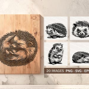 May include: A wooden panel with a detailed engraving of a curled-up hedgehog. The image is surrounded by four square illustrations of hedgehogs in various poses. The text "20 IMAGES PNG - SVG - EPS" is displayed.