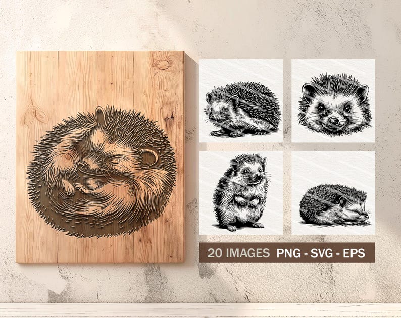 May include: A wooden panel with a detailed engraving of a curled-up hedgehog. The image is surrounded by four square illustrations of hedgehogs in various poses. The text "20 IMAGES PNG - SVG - EPS" is displayed.