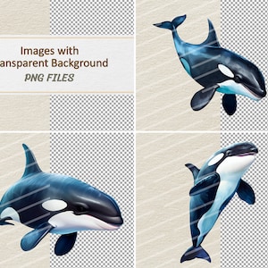 May include: Four digital illustrations of a black and white orca whale with a white patch on its belly, swimming in a transparent background. The orcas are in different poses, with their fins and tails visible.