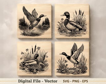 Mallard Duck Vector Illustration SVG – Line Art Wild Duck PNG - Laser Engraving Clipart – Digital Download