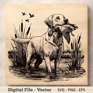 May include: A black and white digital illustration on a light wood background featuring a Labrador retriever standing in water, holding a duck in its mouth, surrounded by cattails with three flying ducks in the sky and the text Digital File - Vector.