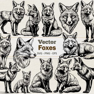 Clipart vectoriel renard - Illustration numérique de dessin au trait - bébés renards SVG PNG EPS - usage commercial