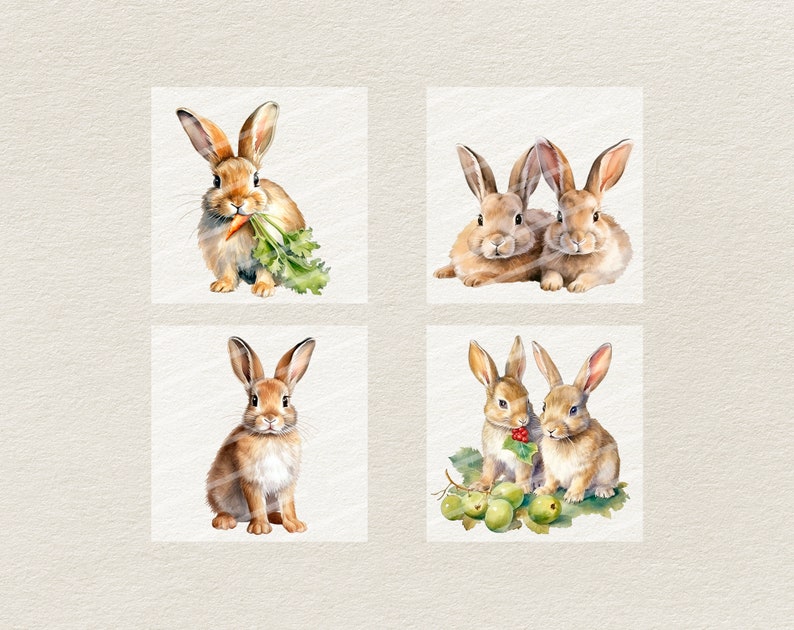 Watercolor Bunnies Clipart V2 - Digital Illustration Bunny - Rabbit PNG ...