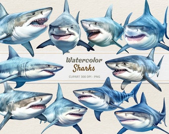 Aquarelle Shark Clipart - Requins d’illustration numérique - Grand requin blanc PNG - Requin tigre - Utilisation commerciale