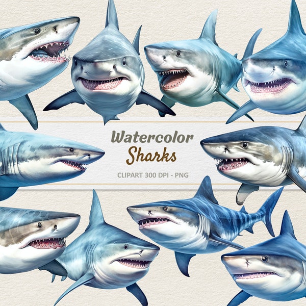 Watercolor Shark Clipart - Digital Illustration Sharks - Great White Shark PNG - Tiger Shark - Commercial Use