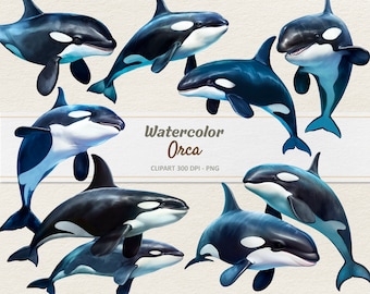 Akwarela Orca Clipart - Cyfrowa Ilustracja Orka - Orki PNG - Użytek Komercyjny