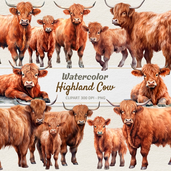 Watercolor Highland Cow Clipart - Digital Illustration Cow - Highland Cattle PNG - Commercial Use