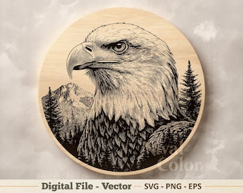 Bald Eagle Portrait Vector Illustration SVG – Line Art PNG - Laser Engraving  Clipart – Digital Download