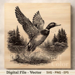 Mallard Duck Vector Illustration SVG – Line Art Wild Duck PNG EPS - Laser Engraving Cutting Board - Sublimination Clipart – Digital Download