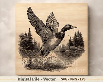 Ilustración vectorial SVG de pato ánade real – Dibujo lineal PNG de pato salvaje – Imágenes prediseñadas para grabado láser – Descarga digital