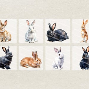 Op de afbeelding: Acht aquarel illustraties van konijnen in verschillende poses. De konijnen zijn bruin, zwart en wit. Sommigen zitten, sommigen staan en sommigen kijken naar de zijkant.