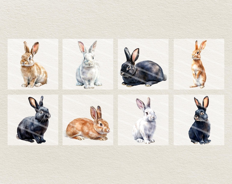 Op de afbeelding: Acht aquarel illustraties van konijnen in verschillende poses. De konijnen zijn bruin, zwart en wit. Sommigen zitten, sommigen staan en sommigen kijken naar de zijkant.