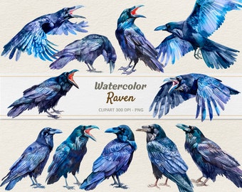 Watercolor Raven Clipart - Digital Illustration Crow - Raven PNG - Commercial Use