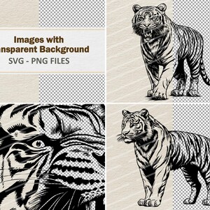 Puede incluir: Ilustraci&oacute;n en blanco y negro de un tigre con una expresi&oacute;n feroz. El tigre est&aacute; de pie con la cabeza alta y la boca abierta en un rugido. La imagen est&aacute; sobre un fondo transparente.