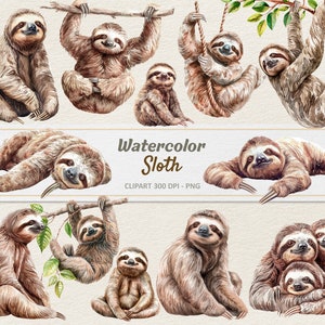 Aquarell Faultier Clipart - Digitale Illustration Dreifinger Faultiere - PNG - Kommerzielle Nutzung