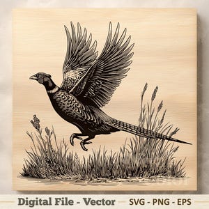 May include: A black and white illustration of a pheasant in flight, set against a light wood grain background. The bird is depicted with detailed feathers and is surrounded by tall grass. The image is labeled "Digital File - Vector".
