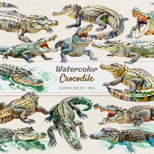 Akwarela Krokodyl Clipart - Cyfrowa Ilustracja Krokodyla - PNG Gad - Użytek Komercyjny