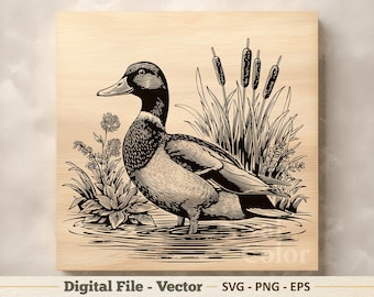 Mallard Duck Vector Illustration SVG – Line Art Wild Duck PNG - Engraving Clipart – Digital Download