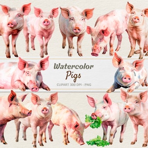 Aquarell Schwein Clipart - Digitale Illustration Hausschwein - Schwein PNG - Kommerzielle Nutzung