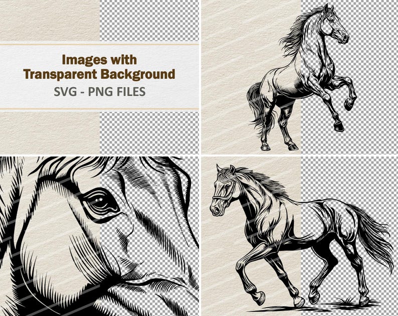 Vector Horse Clipart - Line Art Digital Illustration - Horse SVG PNG ...