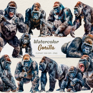 Watercolor Gorilla Clipart- Digital Illustration Great Ape - Silverback Primate PNG - Commercial Use
