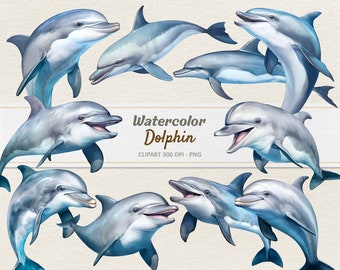 Watercolor Dolphin Clipart - Digital Illustration Dolphins - Bottlenose Dolphin PNG - Commercial Use