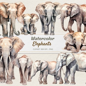 Acuarela Elefantes Clipart - Ilustración Digital - Bebé Elefante PNG - Uso Comercial