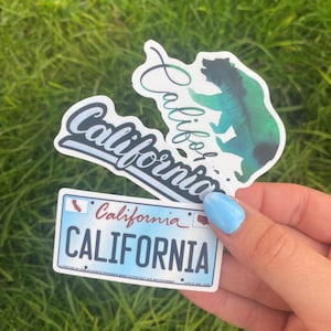 50 STÜCK SORTIERTE KALIFORNIEN-AUFKLEBER! Amerika, Kalifornien, Santa Monica, Lost Coast, Cholera, Big Bear Lake, Palm Springs, Lake Tahoe