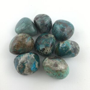 CHRYSOCOLLA getrommelt Medium High Quality Specimen Crystal Healing 10-15g A +