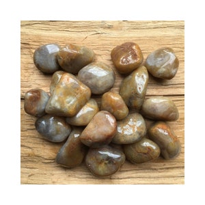 Peut inclure: Une collection de pierres roulées dans un mélange de couleurs brun, blanc et gris. Les pierres sont lisses et polies, avec un aspect naturel et organique.