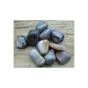 Fossil versteinertes Holz getrommelt Kristall Mineralien Edelstein Kristallheilung ausgezeichnet