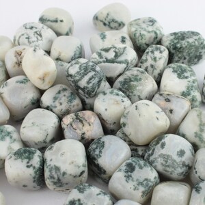 Trommelsteine Dendritenachat EXTRA MINERALS trommelten Kristalle Scheibenheilung