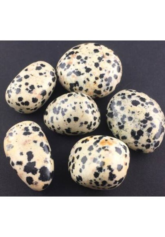 Dalmatian Jasper Tumbles Dalmatian Jasper Tumbles