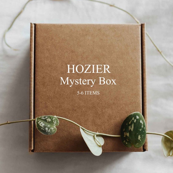 HOZIER Mystery Box | Wasteland, Baby! | Sedated | Take Me To Church | Dorm Room Decor | Posters | Stationary | Sunlight
