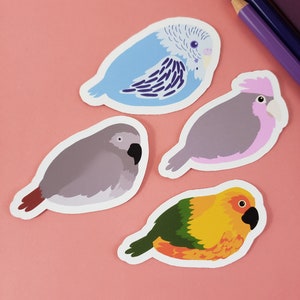 3" Vinyl Parrot Stickers for Bird lovers
