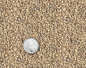 May include: A close-up of a pile of small, light brown, irregularly shaped gravel. A Canadian 25-cent coin is placed on top of the gravel for scale.