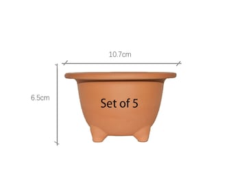 Neofinetia falcata clay pot 4" short (Set of 5)