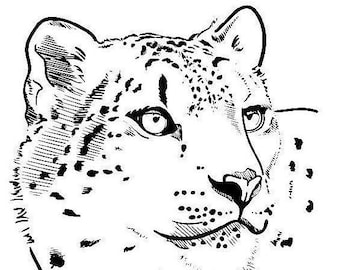 Download Snow Leopard Svg Etsy