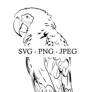 Parrot Line Art, SVG/PNG/JPEG Digital Art File, Instant Download for Cricut and Crafts, Clip Art Animals Digital File