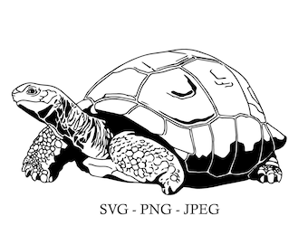 Tortoise SVG/PNG/JPEG Digital Art File, Tortoise Line Art, Tortoise Design for Cricut and Crafts, Animal Clipart