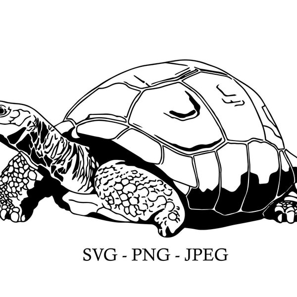 Tortoise SVG/PNG/JPEG Digital Art File, Tortoise Line Art, Tortoise Design for Cricut and Crafts, Animal Clipart